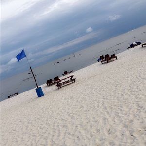 Meet your Posher, Cheyenne